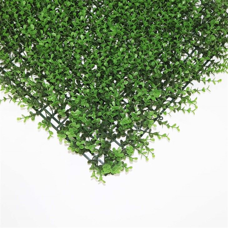 Grass Wall Classroom