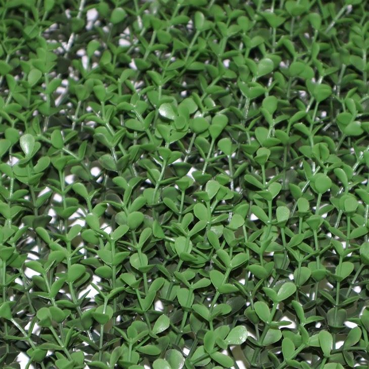 Grass Wall Classroom
