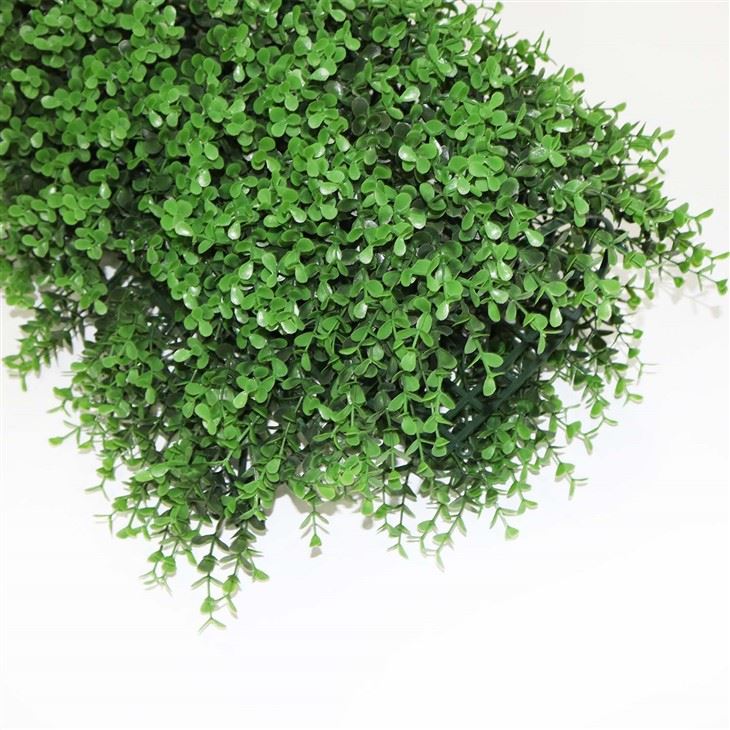 Grass Wall Classroom