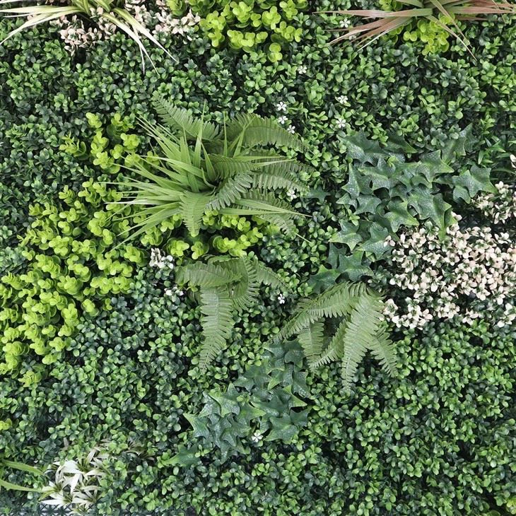 Best Plants For Indoor Plant Wall