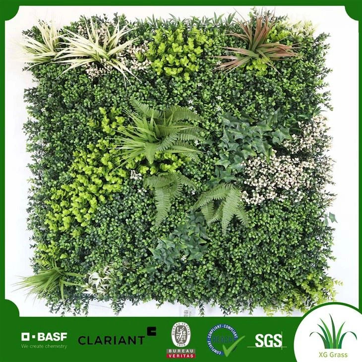 بهترین گیاهان برای دیوار گیاهان داخلی