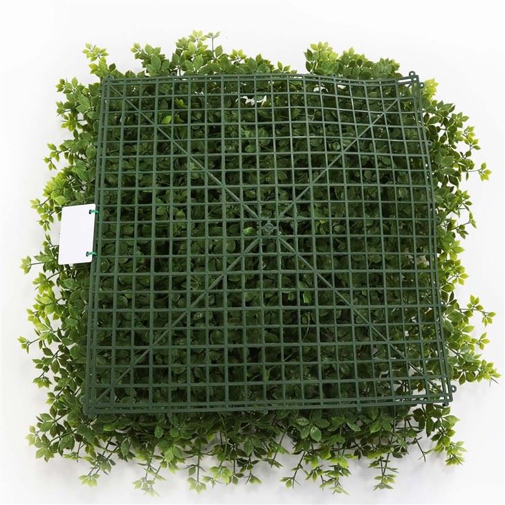 Interior Vine Wall