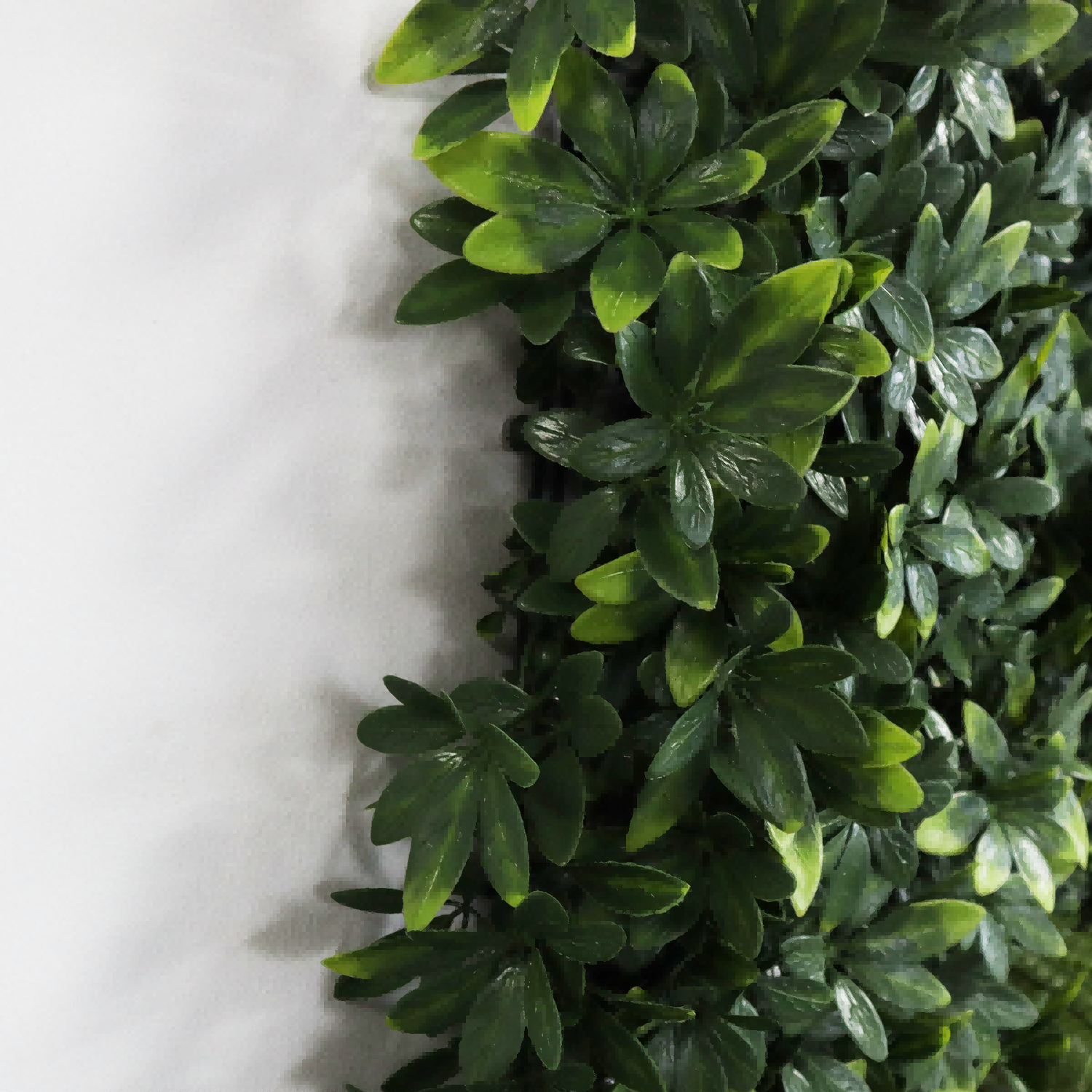 Living Wall Panels Living Wall Panels