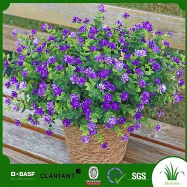 ارکیده مصنوعی