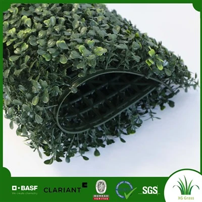 تزیین دیوار چمن سبز