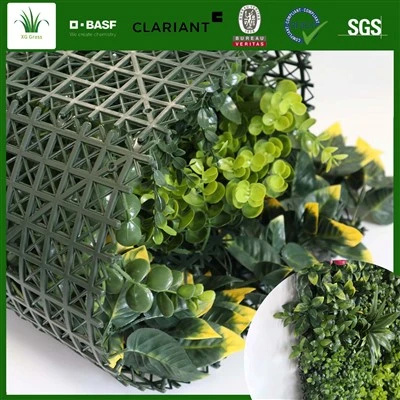 گیاهان داخلی دیوار زنده