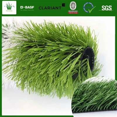 فرش چمن مصنوعی فوتبال در فضای باز به شکل S