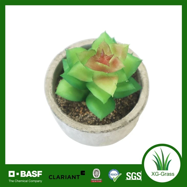 Xingu Mini Artificial Succulent Potted Plant suppliers
