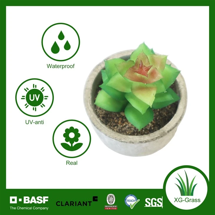 Xingu Mini Artificial Succulent Potted Plant high quality