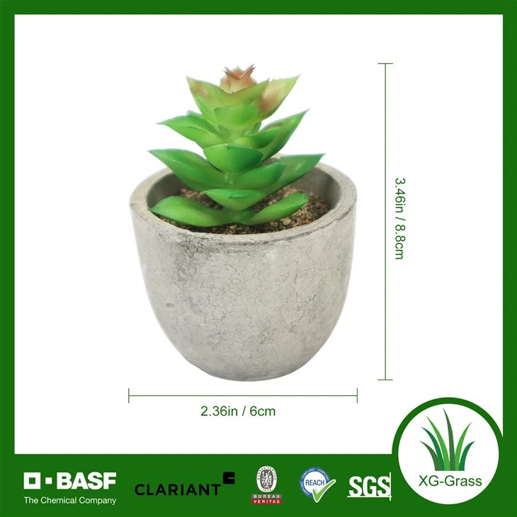 Xingu Mini Artificial Succulent Potted Plant best