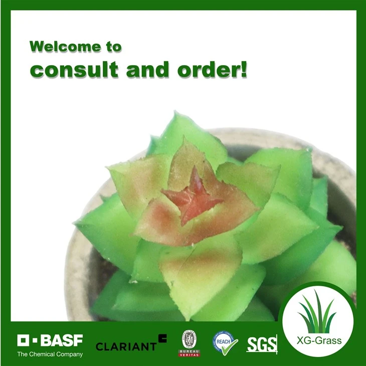 Xingu Mini Artificial Succulent Potted Plant price
